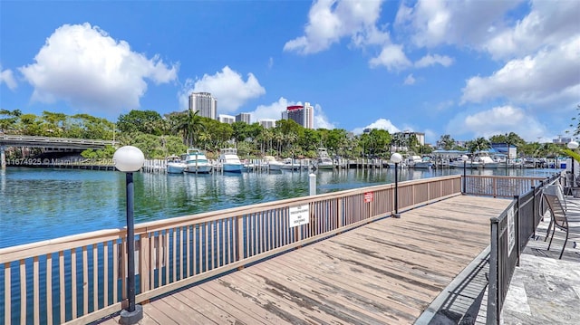 dock area with a water view