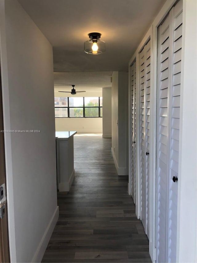 corridor with dark hardwood / wood-style floors