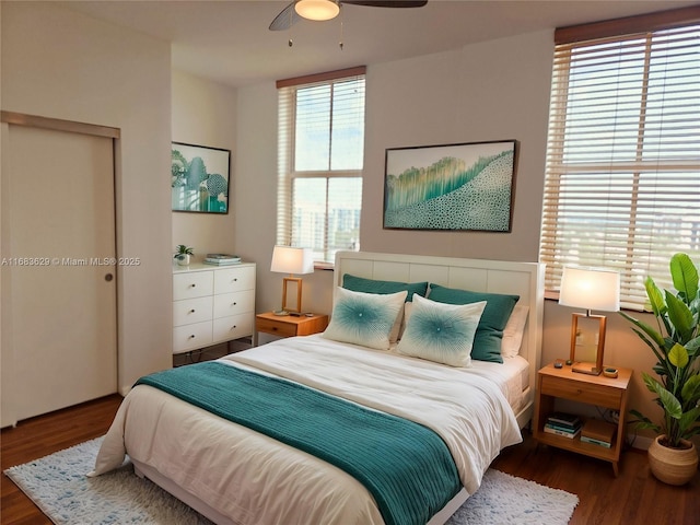 bedroom featuring ceiling fan and dark hardwood / wood-style floors