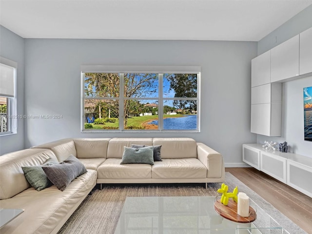 living room featuring hardwood / wood-style floors and a wealth of natural light