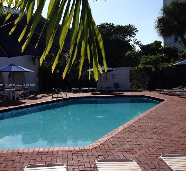 view of swimming pool featuring a patio area