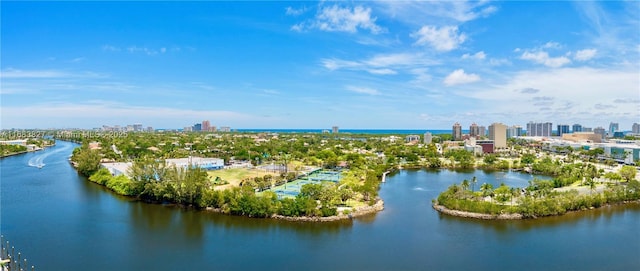 bird's eye view with a water view