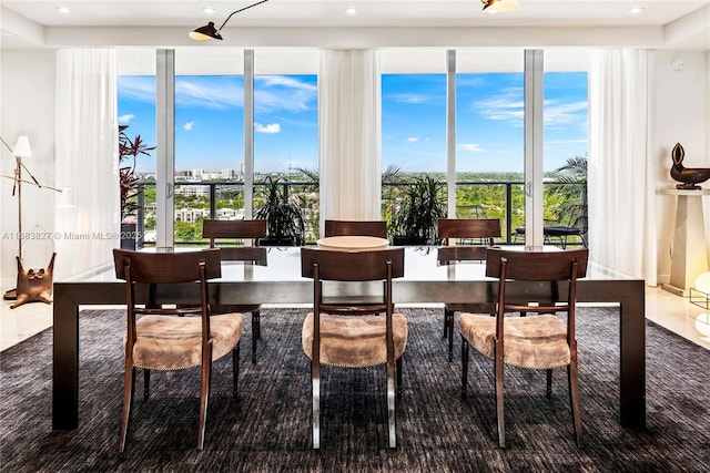 dining area with plenty of natural light