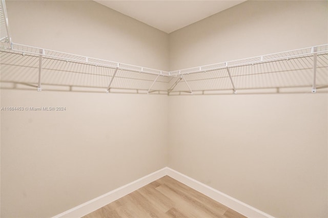 spacious closet with wood-type flooring