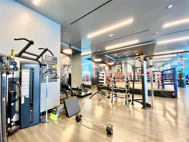 gym featuring light hardwood / wood-style flooring