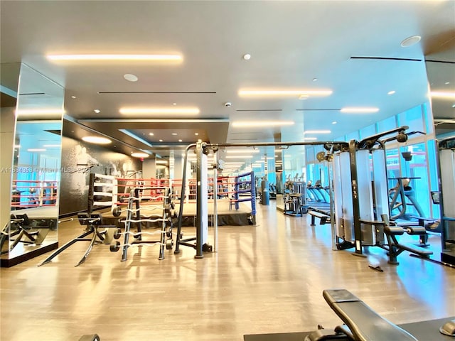 workout area featuring light hardwood / wood-style floors