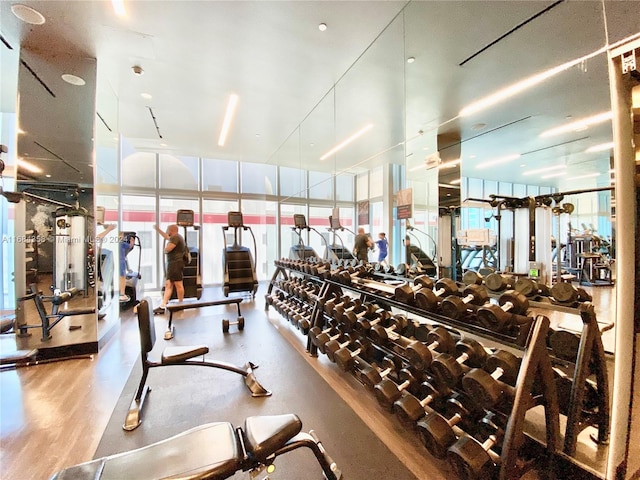 workout area with expansive windows and wood-type flooring