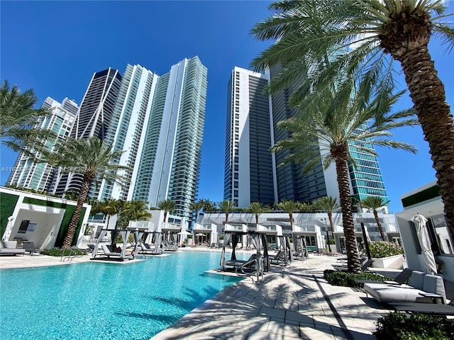 view of swimming pool with a patio area