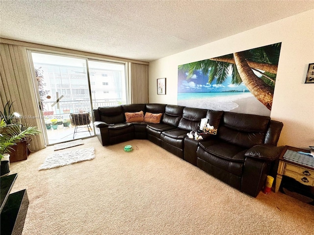 living room with a textured ceiling and carpet flooring