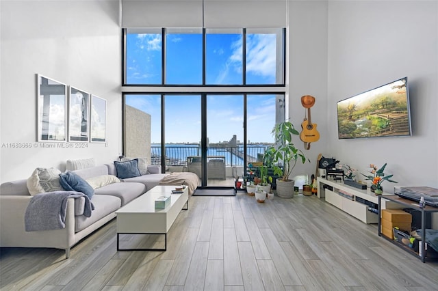 living room with light wood-type flooring, a high ceiling, and plenty of natural light