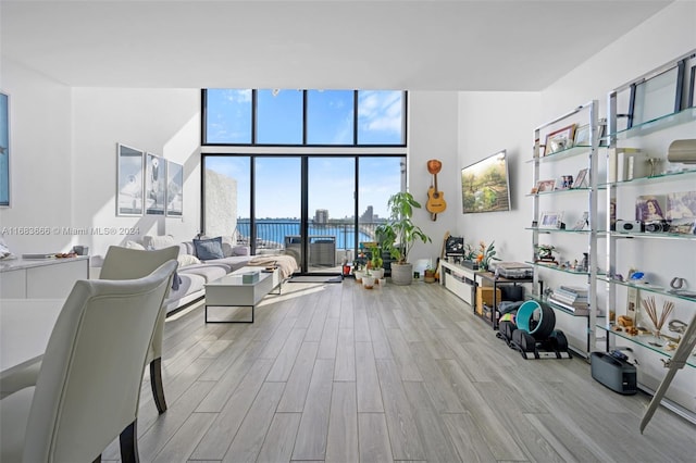 living room featuring expansive windows and light hardwood / wood-style flooring