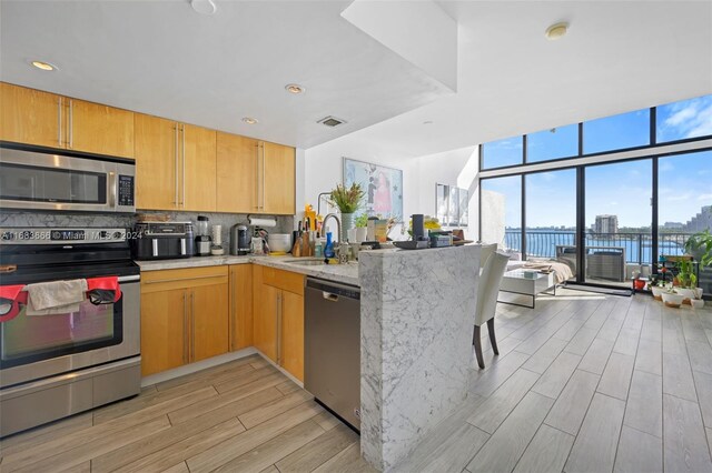 kitchen featuring stainless steel appliances, sink, light wood-type flooring, a water view, and tasteful backsplash