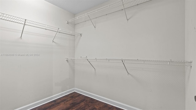 walk in closet featuring hardwood / wood-style flooring