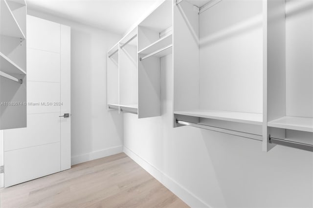 walk in closet featuring light hardwood / wood-style flooring