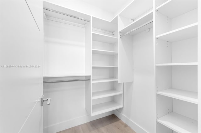 spacious closet featuring light hardwood / wood-style floors