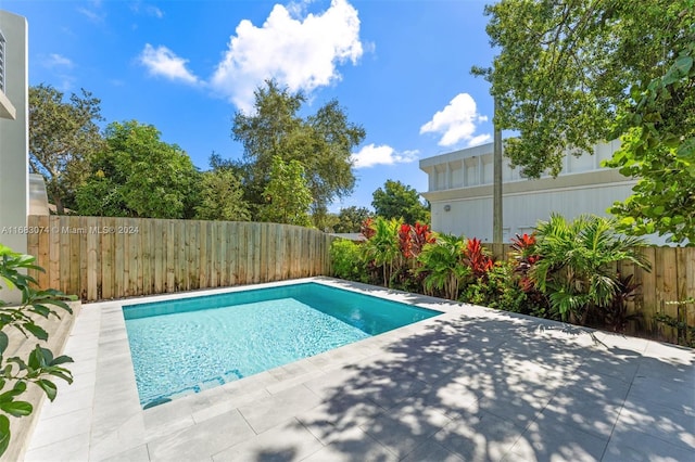 view of swimming pool with a patio area