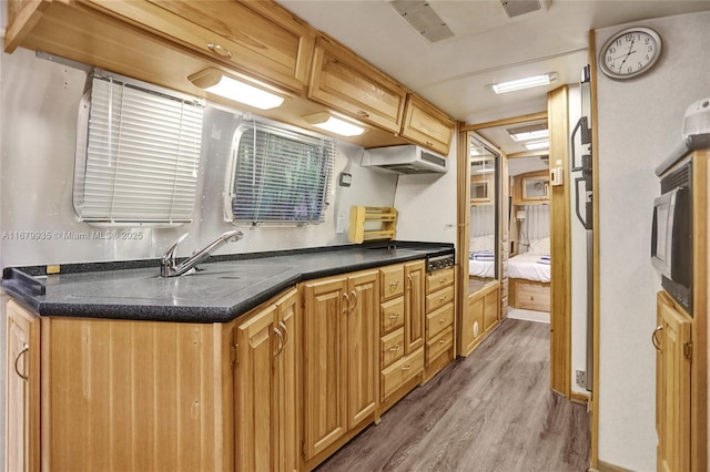 kitchen featuring sink and light hardwood / wood-style flooring