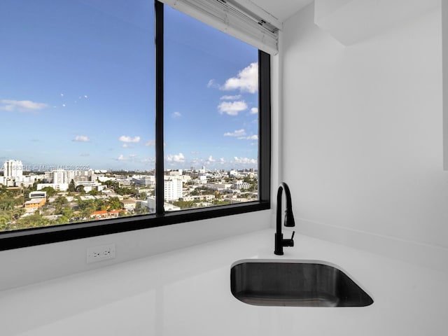 details featuring a view of city and a sink