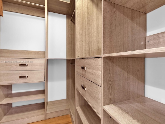 walk in closet with light wood-style flooring