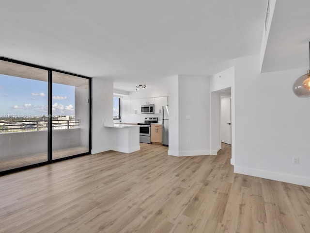 unfurnished living room featuring baseboards, expansive windows, and light wood-style floors