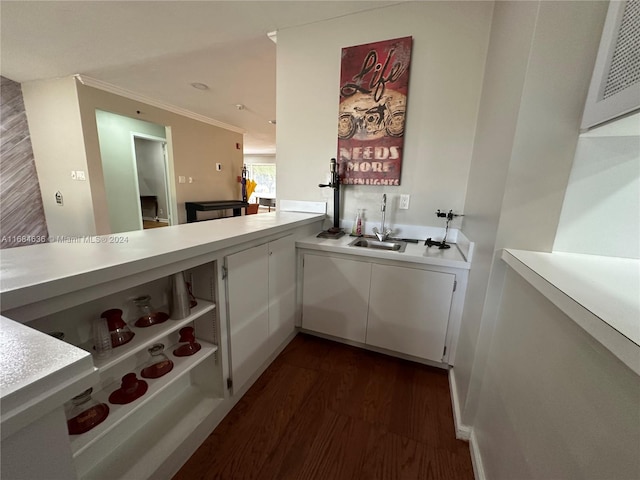 kitchen with sink, ornamental molding, dark hardwood / wood-style flooring, and white cabinets