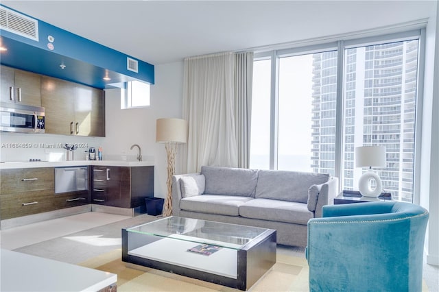 living room with a wealth of natural light and sink