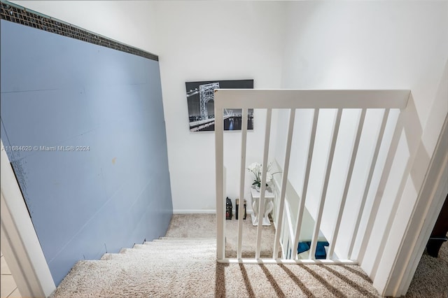 staircase with carpet floors