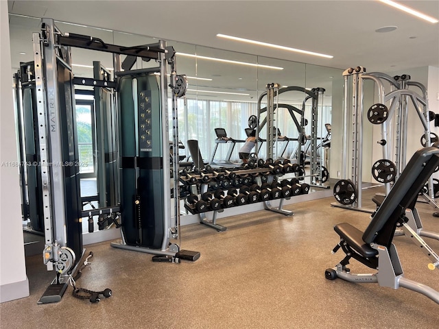 exercise room with plenty of natural light