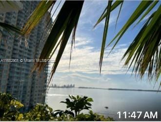1200 Brickell Bay Dr Unit Ph4204, Miami, FL 33131 - water view