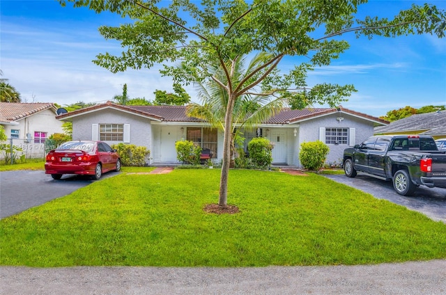 ranch-style home featuring a front lawn