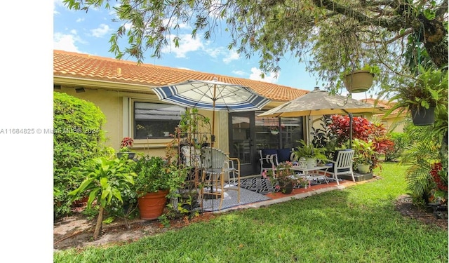 back of house featuring a yard and a patio