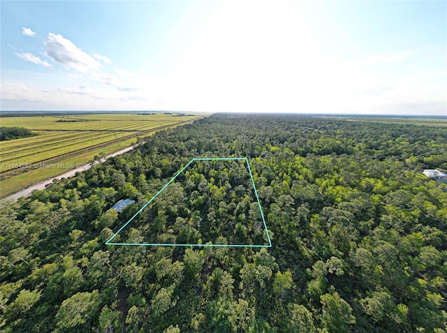 0Pioneer Fl, FL, 33440 land for sale