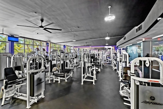 workout area with ceiling fan and expansive windows