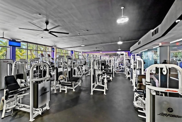 exercise room with a ceiling fan, visible vents, and floor to ceiling windows