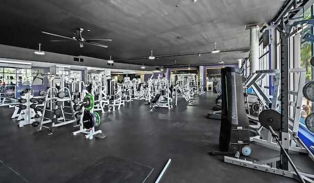 workout area featuring ceiling fan