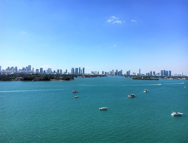 property view of water featuring a view of city
