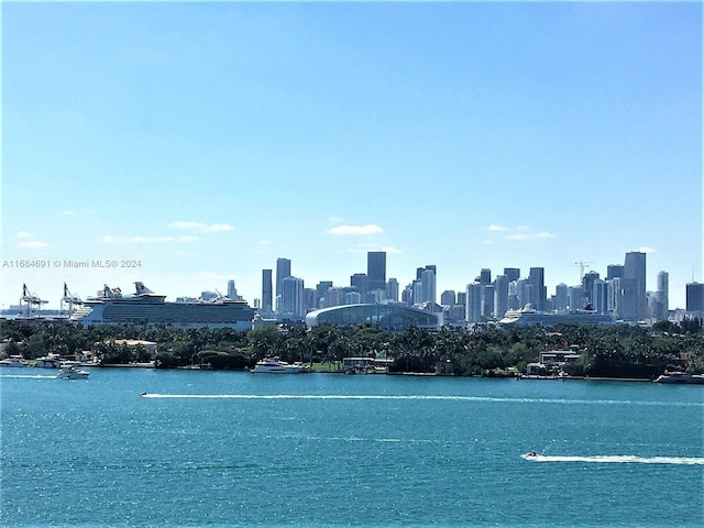 property view of water featuring a city view