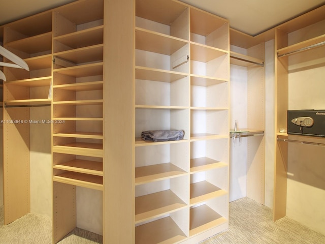 spacious closet with light colored carpet