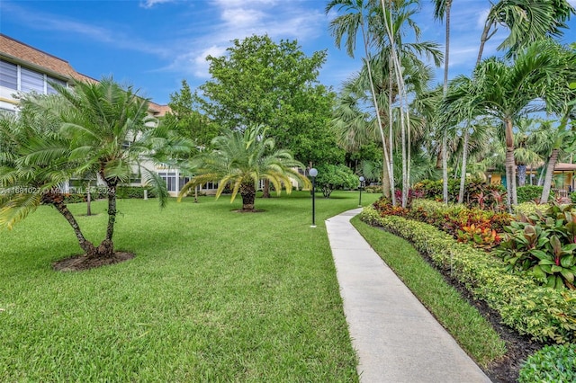 view of community featuring a yard