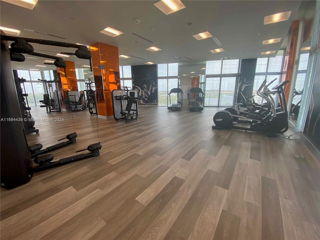 gym featuring wood-type flooring and floor to ceiling windows