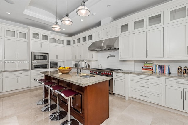 kitchen with a center island with sink, exhaust hood, light stone counters, appliances with stainless steel finishes, and sink