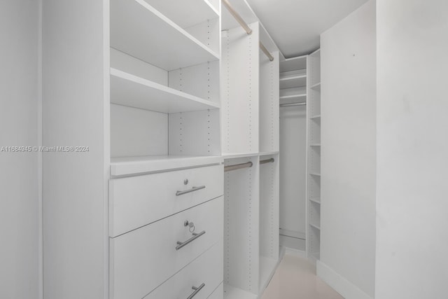 view of walk in closet