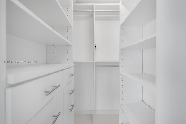 view of spacious closet