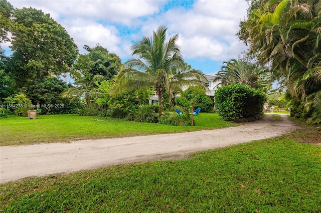 exterior space with a lawn