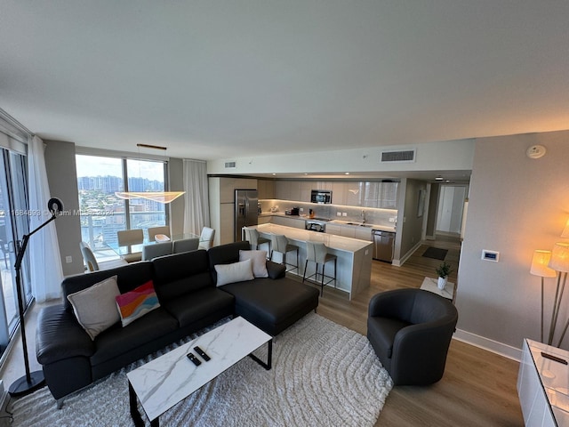 living room featuring sink and hardwood / wood-style floors