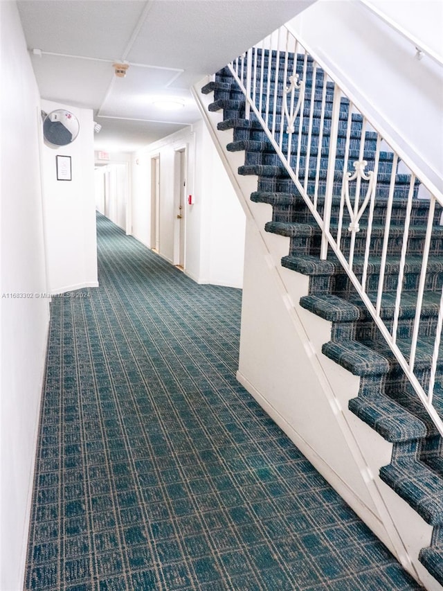 stairway featuring carpet