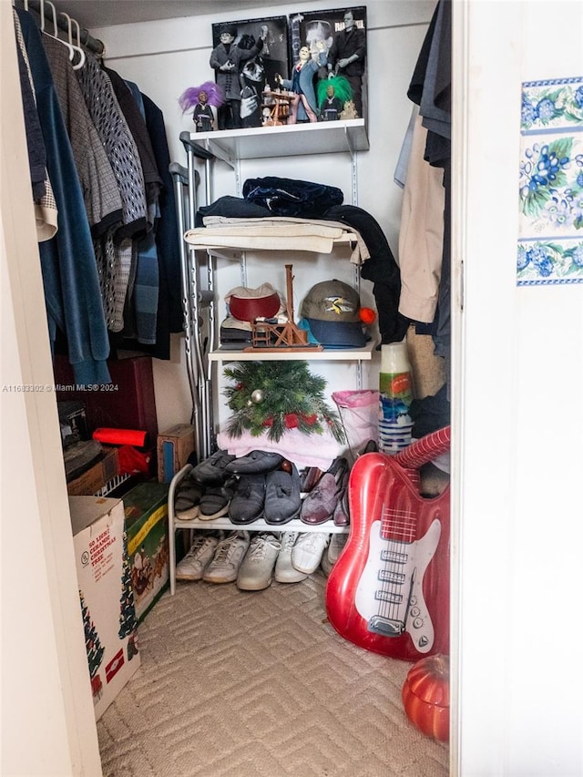 spacious closet featuring carpet flooring