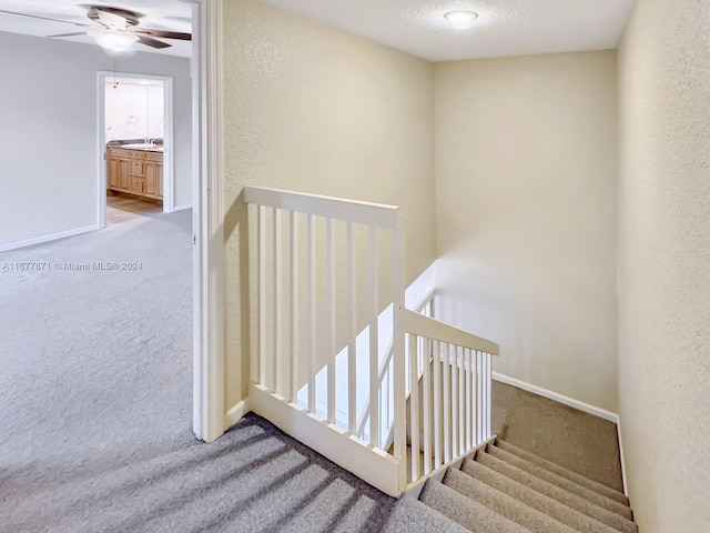 staircase featuring sink, a textured ceiling, and carpet floors