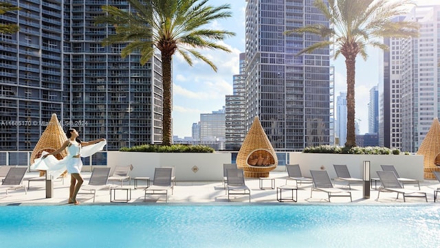 view of swimming pool with a patio area