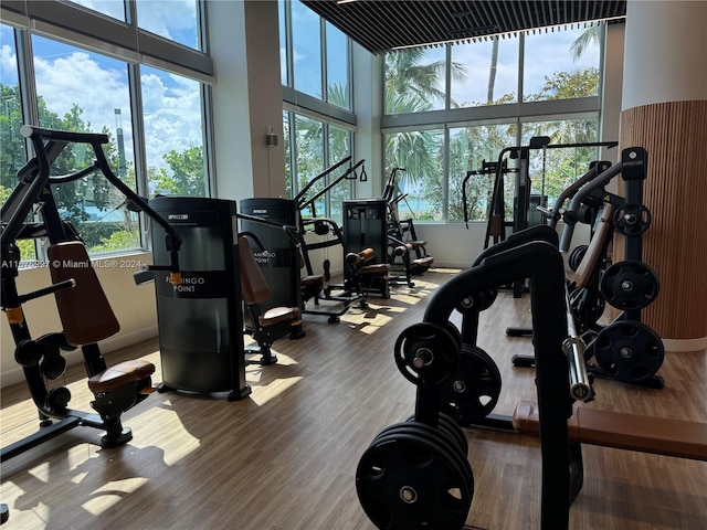 workout area with a towering ceiling and hardwood / wood-style floors